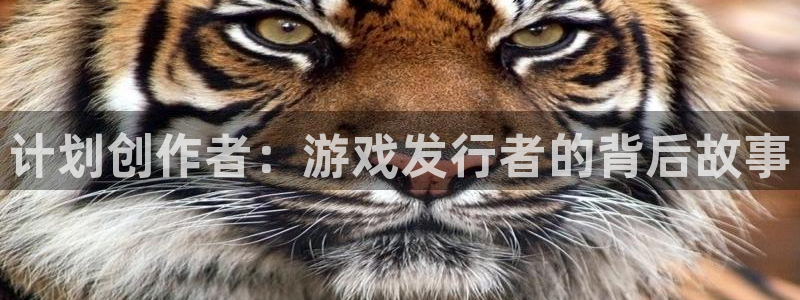 pp电子涂料(北京)有限公司