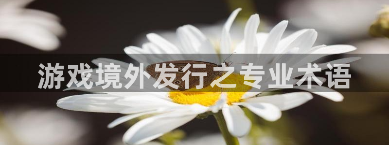 pp电子子教育科技(江门)有限公司