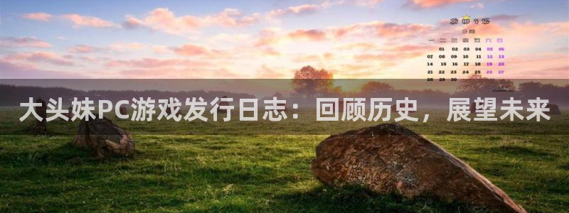 pp电子涂料怎么样