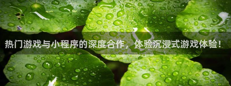 pp电子子的所有小说