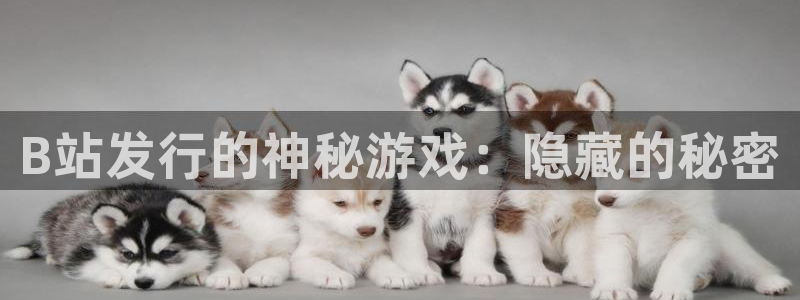 pp电子子文化是什么