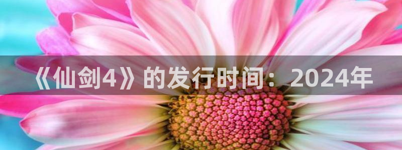 pp电子集团董事长刘一辰简历