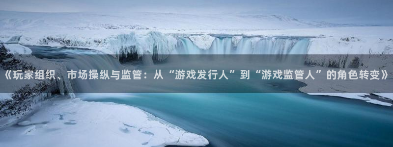 苏州pp电子网络科技有限公司：《玩家组织、市场操纵与监管：从“游戏发行人”到“游戏监管人”的角色转变》
