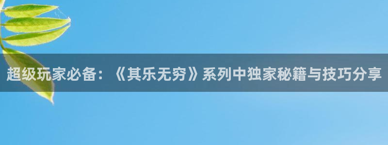 pp电子集团有限公司
