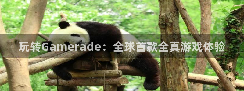 pp电子gs：玩转Gamerade：全球首款全真游戏体验