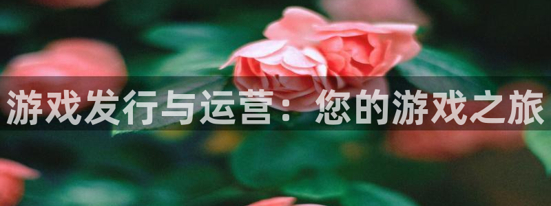 广州pp电子投资管理顾问有限公司