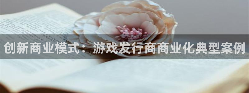pp电子电子商务有限公司地址：创新商业模式：游戏发行商商业化典型案例