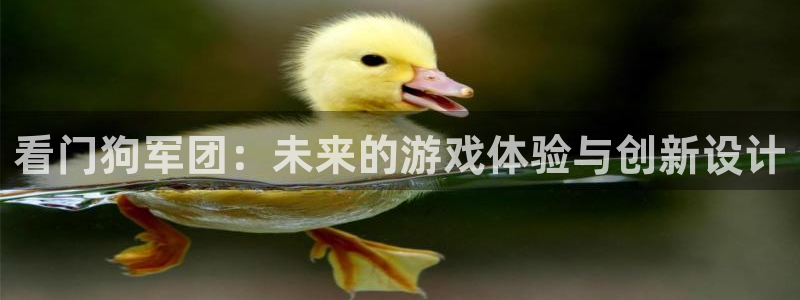 pp电子官网登录注册账号失败：看门狗军团：未来的游戏体验与创新设计