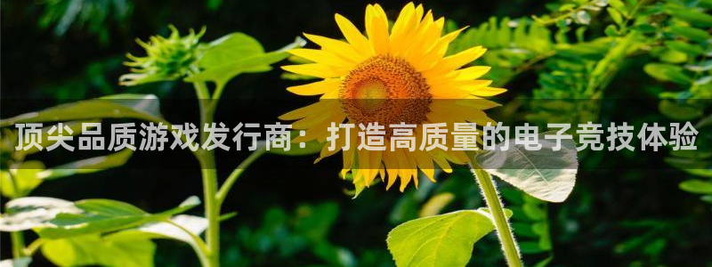 pp电子官网的奇趣腾讯是真的吗：顶尖品质游戏发行商：打造高质量的电子竞技体验