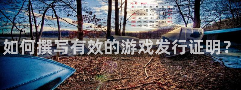 pp电子官网登录注册账号安全吗可靠吗：如何撰写有效的游戏发行证明？