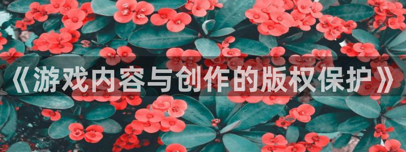 pp电子庄园：《游戏内容与创作的版权保护》