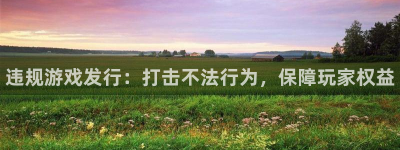 江苏pp电子智得新材料